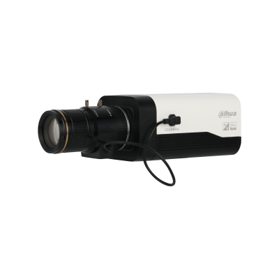 2MP IR Starlight Dome Network Camera - Perimeter Protection CCTV Cameras